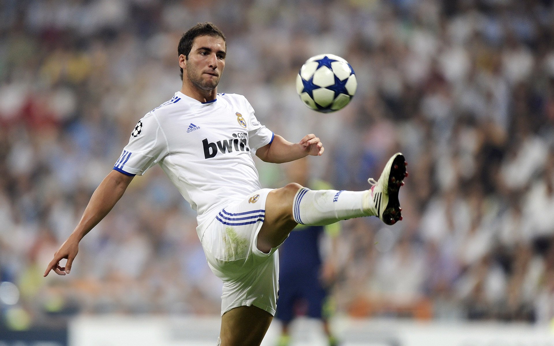 “霍斯特的领导力，提升南非羚羊队的整体实力”